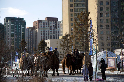 Монгол ахуй, түүх соёлоо таниулсан өдрүүд